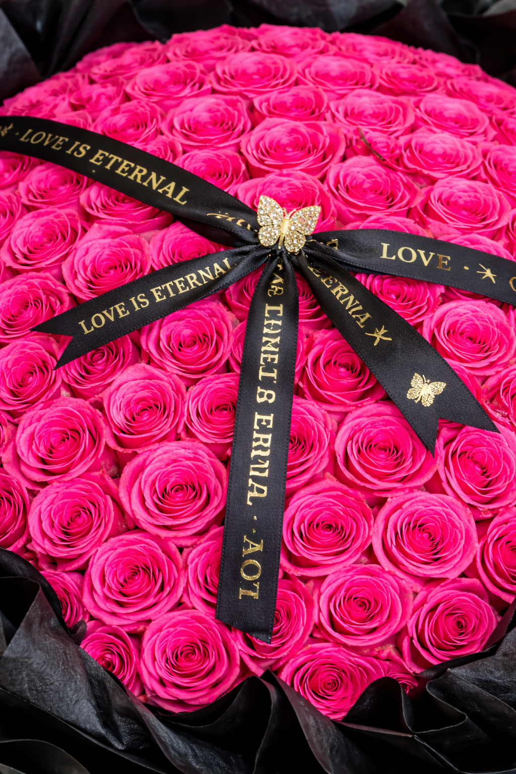 Leonora 200 Rose Private Collection