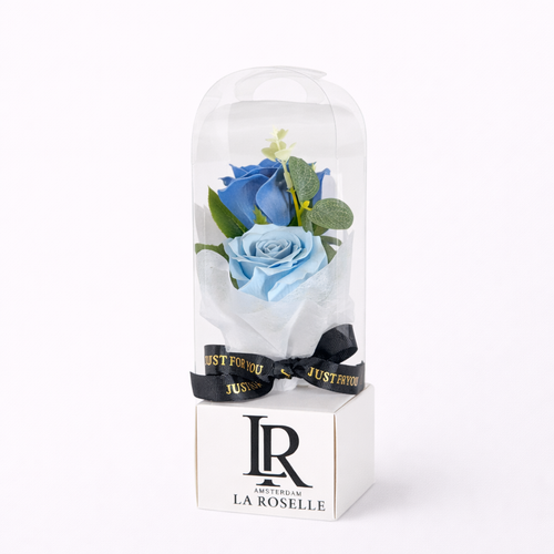 Azure Eternal Rose